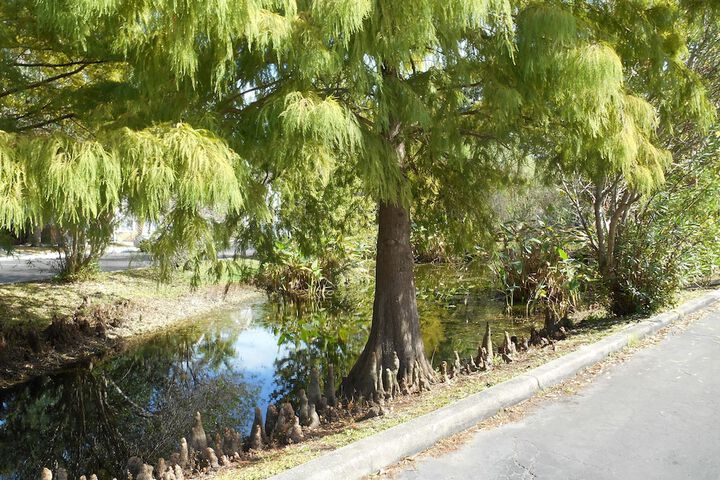 Property Grounds 39 of 49