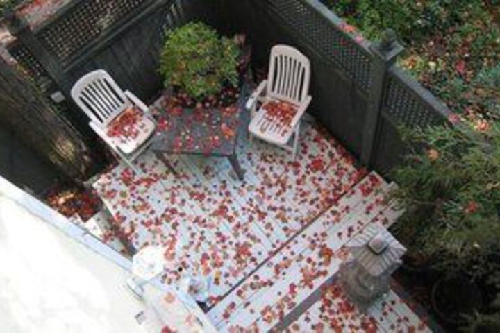 Terrace/Patio 18 of 19