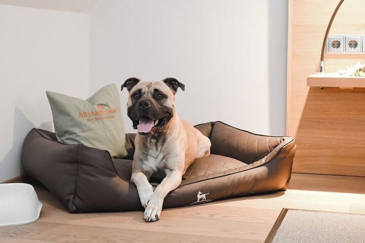 Pet Friendly 99 of 153