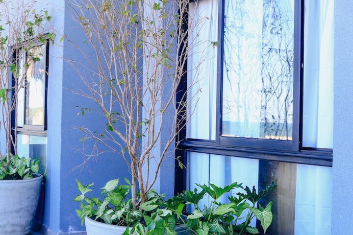 Terrace/Patio 42 of 68