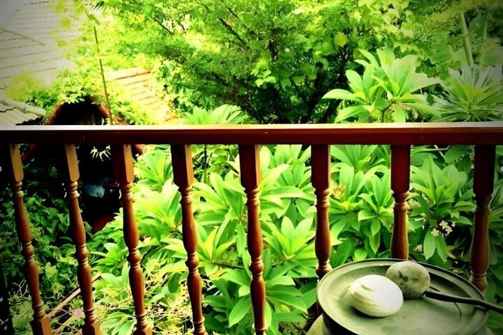 Spa and Wellness Pictures