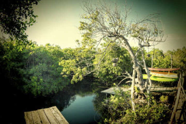Dock