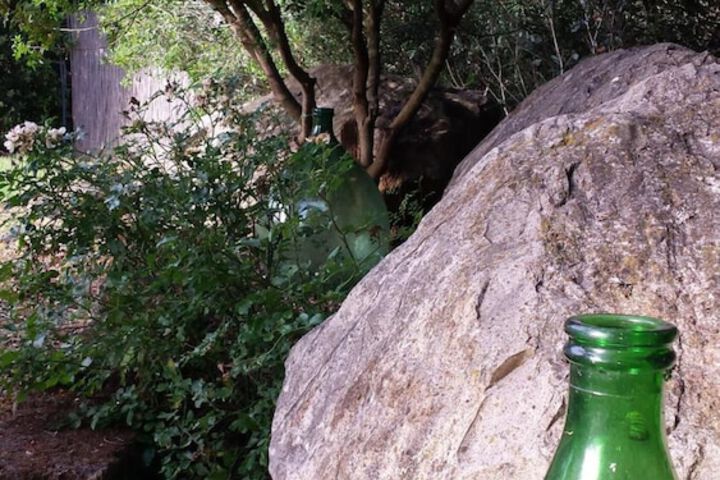 Property Grounds 41 of 51