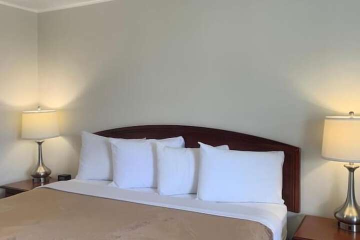 Basic Studio 1 King Bed (3 of 4)