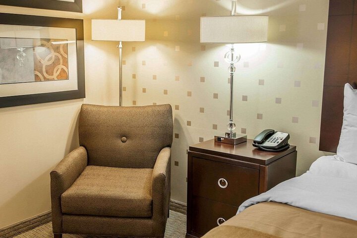 Standard | King Bed (5 of 8)