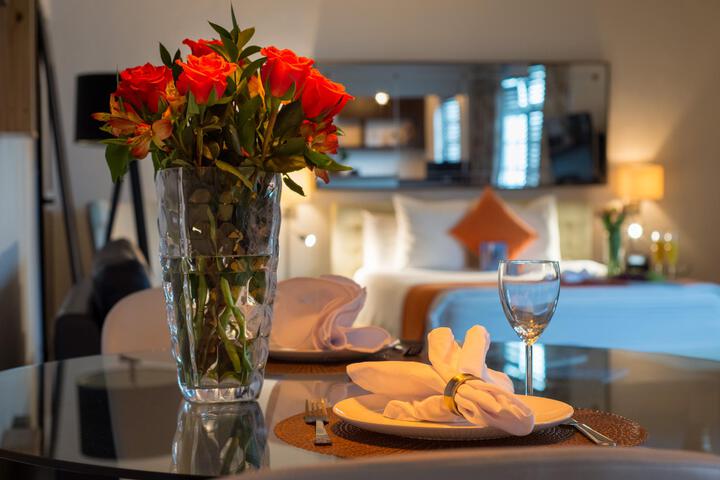 Studio Suite (6 of 9)