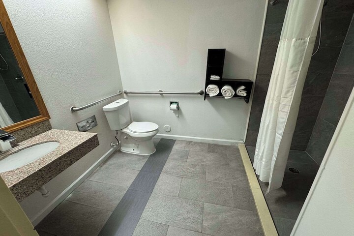 1 King Bed Accessible (2 of 16)