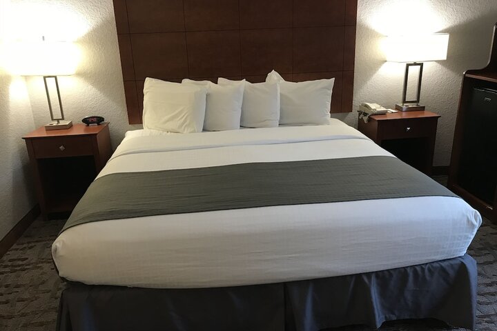 Deluxe Suite King Bed (30 of 30)