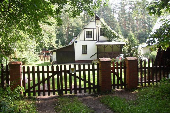 General 21 of 45