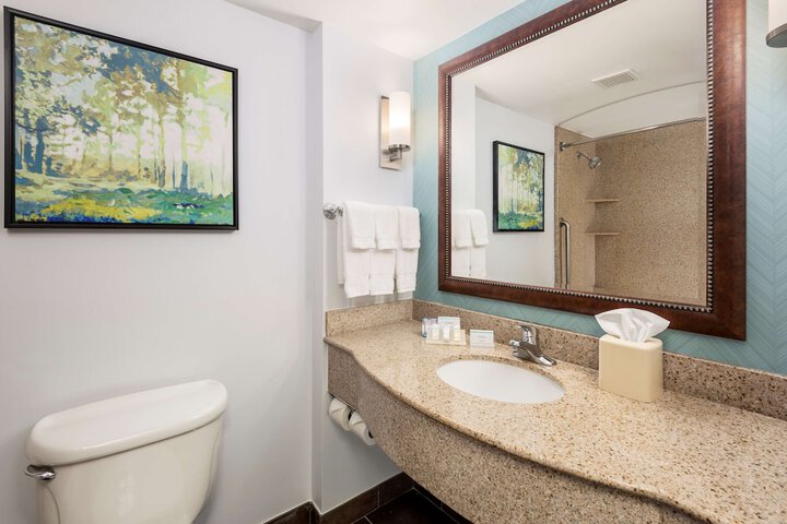 Bathroom shower