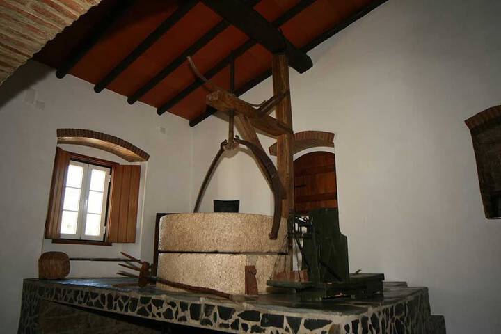 Hotel Interior 36 of 62
