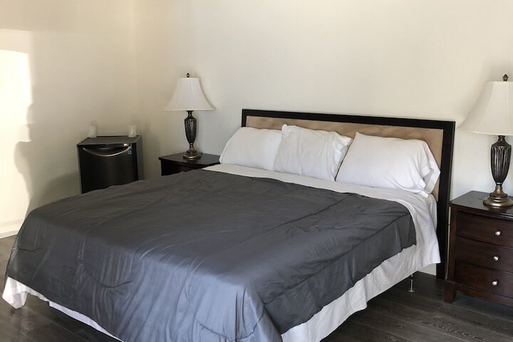 Basic Room 1 King Bed City View (2 of 6)