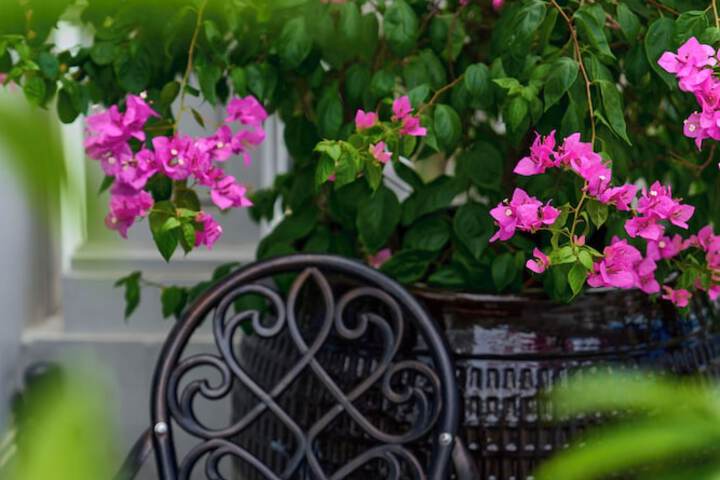 Terrace/Patio 50 of 101