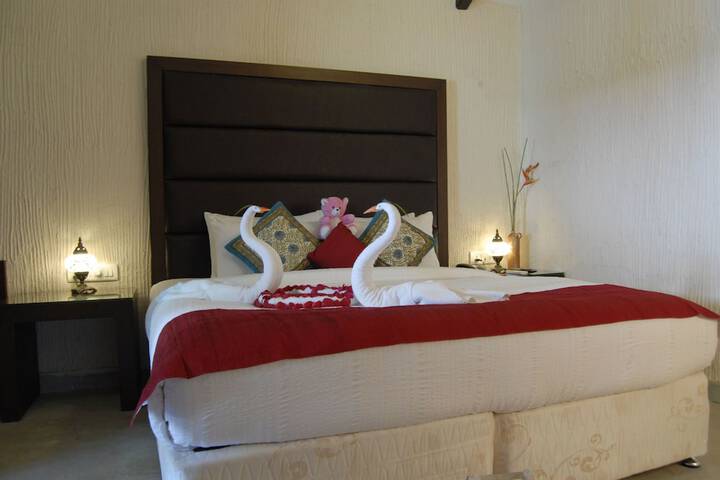 Room 5 of 45