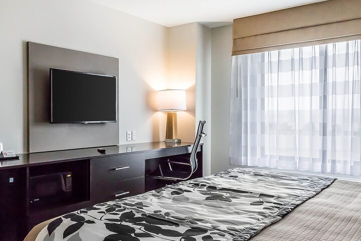 Standard | King Bed (4 of 18)