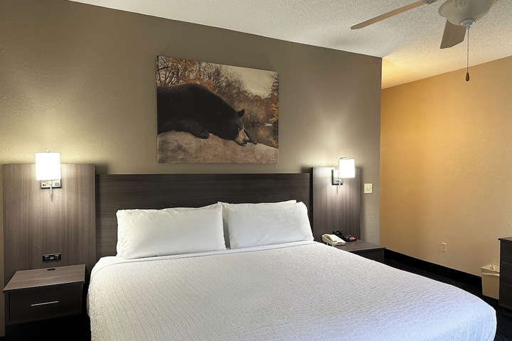 1 King Bed Deluxe No Pets (23 of 30)