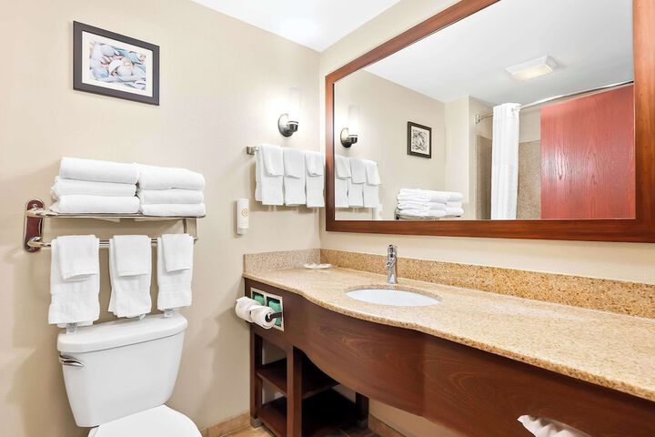 1 King Bed Suite (12 of 13)