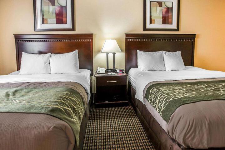 2 Queen Beds (6 of 12)