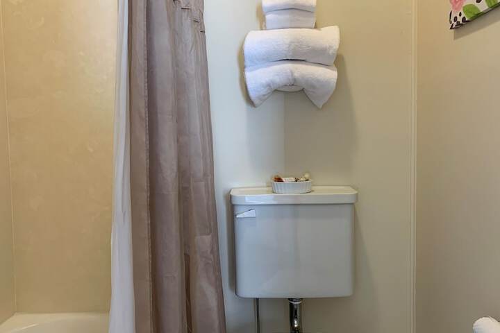 Traditional Double Room 1 Queen Bed Garden View (20 of 58)