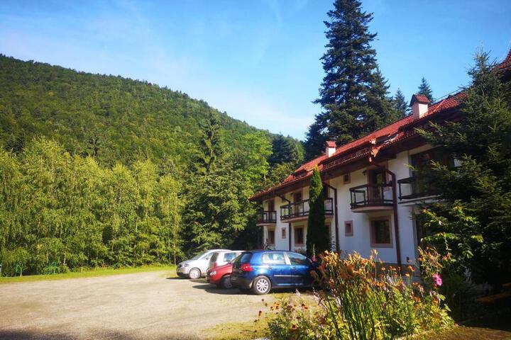 Floarea Reginei