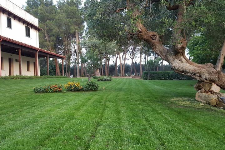 Property Grounds 41 of 55
