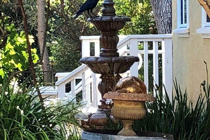 Fountain