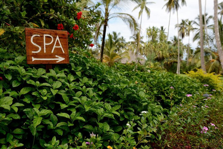 Wellness Treatments
