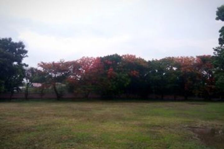 Property Grounds 17 of 18