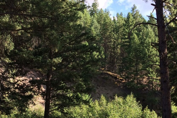 Property Grounds 36 of 40