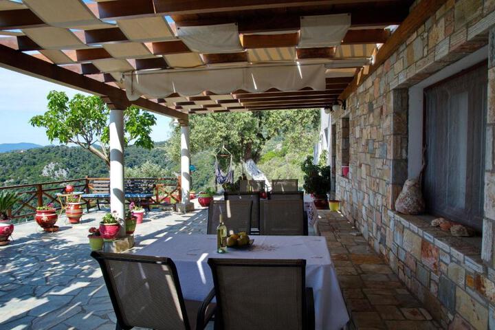 General 11 of 43