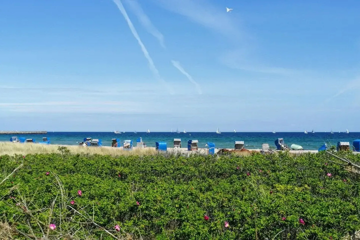 Beach 13 of 16