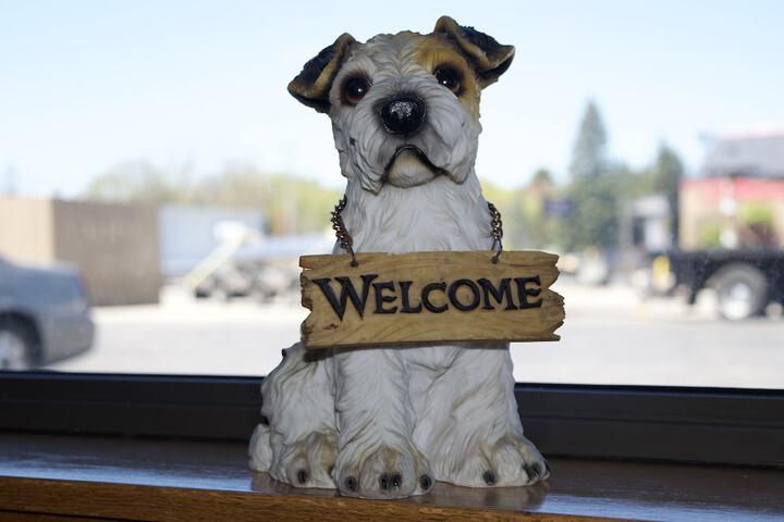 Pet Friendly 28 of 44