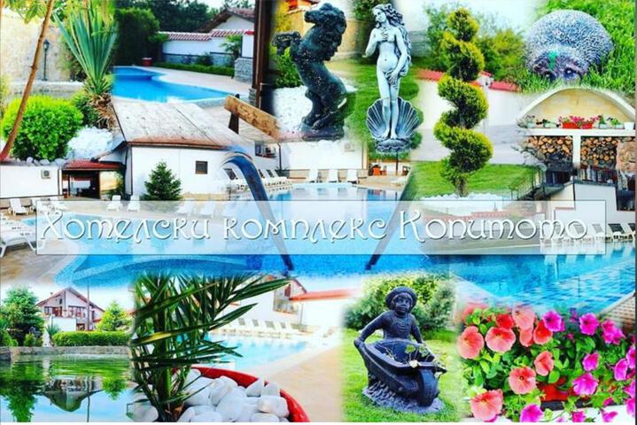 Photo of Комплекс Копитото
