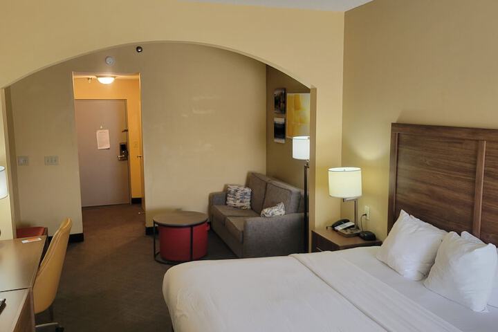 Standard King Bed Accessible (7 of 30)