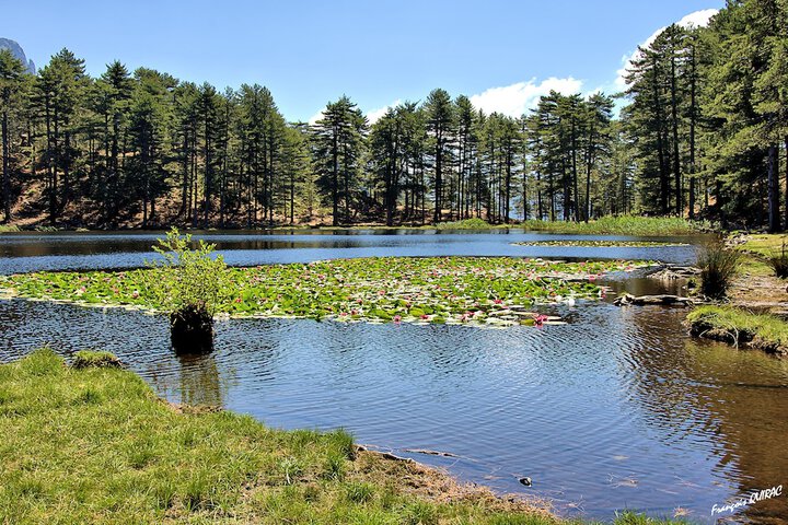 Hiking