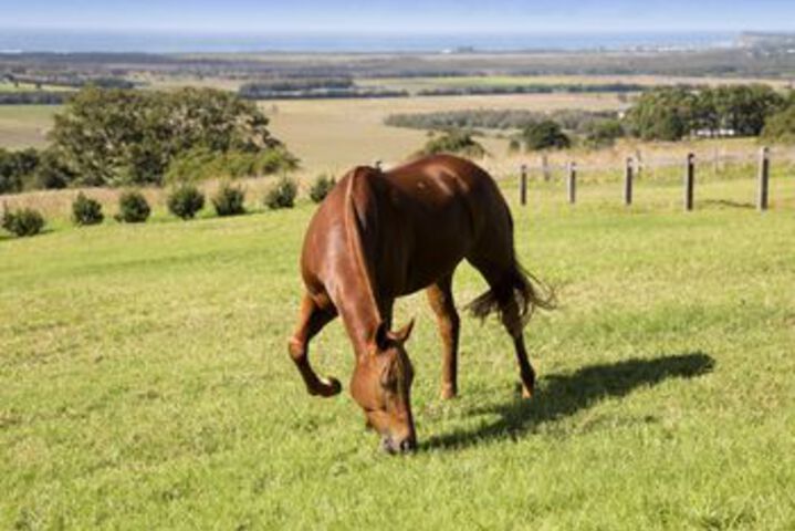 Property Grounds 21 of 22