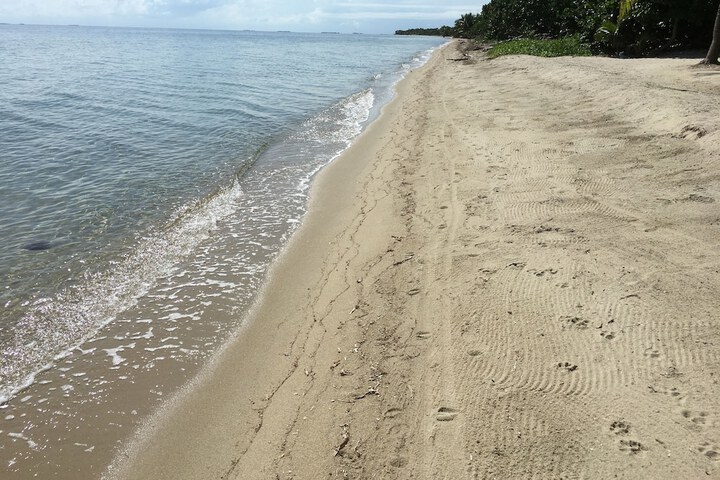 Beach 48 of 63