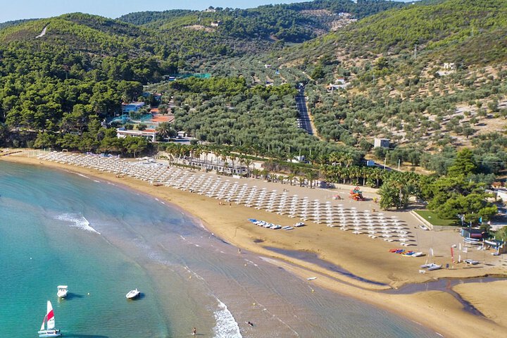 Gattarella Family Resort - Self-catering accommodations in the pinewood in Vieste
