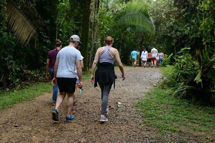 Hiking