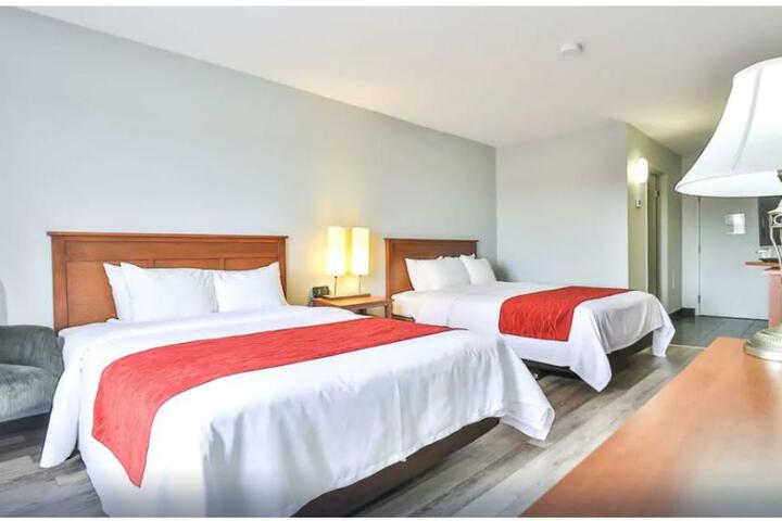 1 Double Bed Accessible (4 of 8)