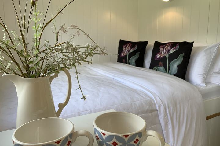 Room 2 of 44