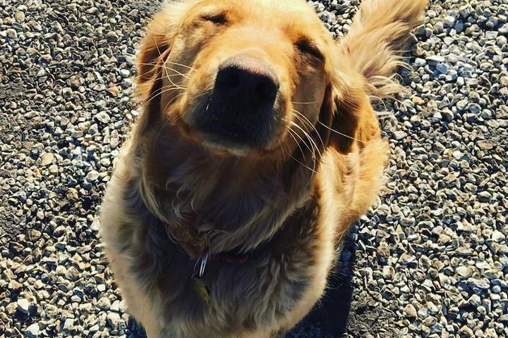 Hotel Exterior 76 of 85