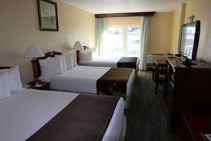 Double Room Accessible Refrigerator, Microwave (12 of 12)