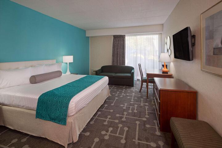 2 Double Beds Pet Friendly (8 of 10)