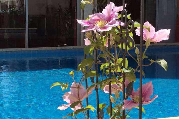 Pools & Facilities