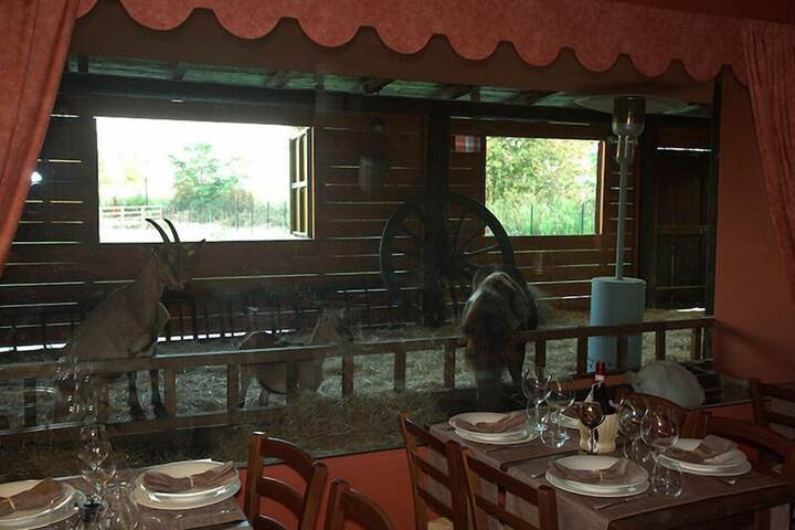 Dining 14 of 29