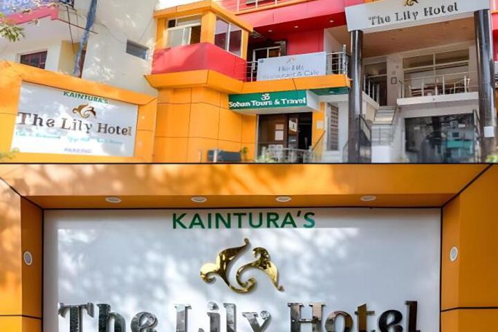 The Lily Hotel