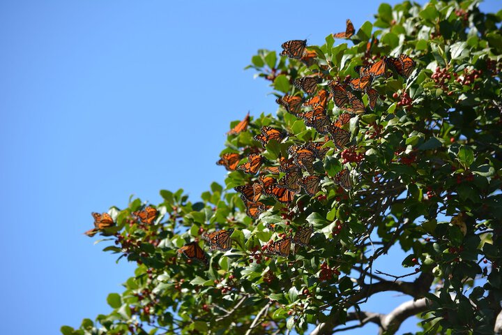 Property Grounds 37 of 51