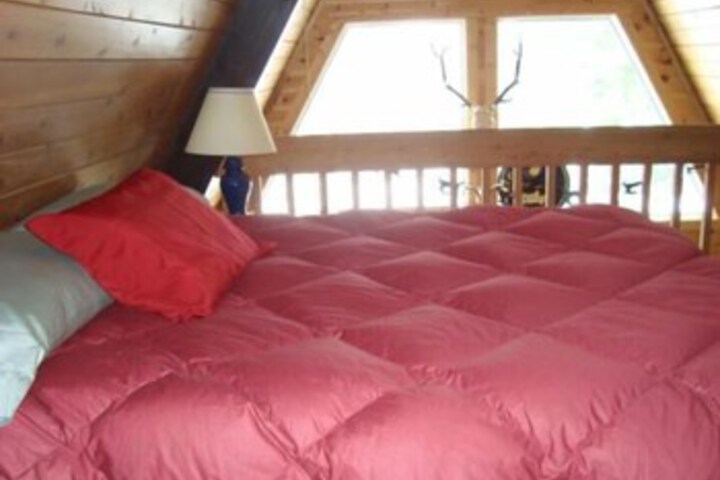 Room 7 of 54