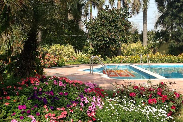 Pool to Cool